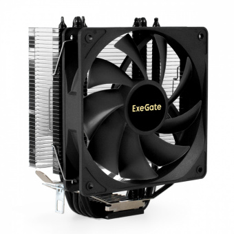 EX295004RUS