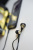 More Choice P42 black gold_3