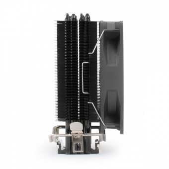 EX295004RUS_2
